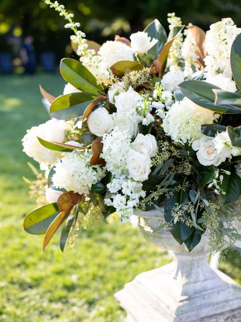 Floral Bouquets Wedding, Magnolia Wedding, Lowcountry Wedding, Fall White, White Wedding Bouquets, White Wedding Flowers, Magnolia Flower, Southern Wedding, Delphinium