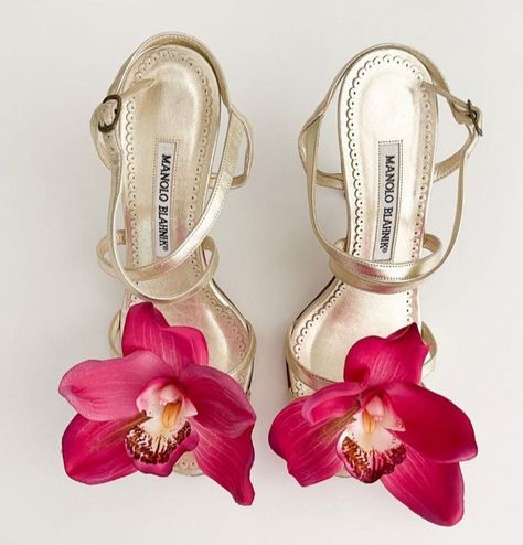 Dream Heels, Vintage 90s Aesthetic, Manolo Blahnik Pink, Faux Orchid, Brown Sandals Heels, Flower Heels, Manolo Blahnik Heels, Chic Sandals, Manolo Blahnik Shoes