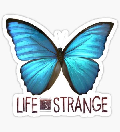 Life is Strange Butterfly Sticker Life Is Strange Butterfly, Life Is Strange Tattoo, Arcadia Bay, Life Is Strange 3, Blue Morpho Butterfly, Morpho Butterfly, Weird Tattoos, Blue Morpho, Life Is Strange