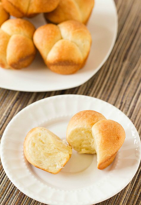 A simple recipe for Cloverleaf Dinner Rolls - the perfect addition to any meal! Cloverleaf Dinner Rolls, Cloverleaf Rolls Recipe, Rolls Thanksgiving, Cloverleaf Rolls, Brown Eyed Baker, Main Recipes, Random Recipes, Knead Bread, Dinner Rolls Recipe