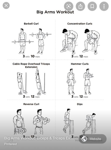 Big Arms Workout, Weekly Exercise Plan, Mens Bicep Workout, At Home Workout Challenge, Big Arm Workout, Barbell Curls, Best Arm Workouts, Home Workout Challenge, Arm Workout Men