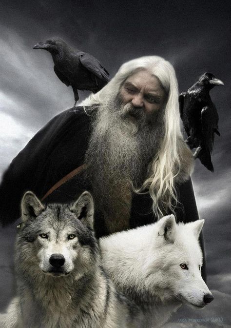 ODIN with the two ravens HUGINN & MUNINN and the two wolves GERI & FREKI. Art Viking, Raven And Wolf, Symbole Viking, Two Wolves, Protection Symbols, Norse Myth, Viking Life, Norse Pagan, Norse Vikings