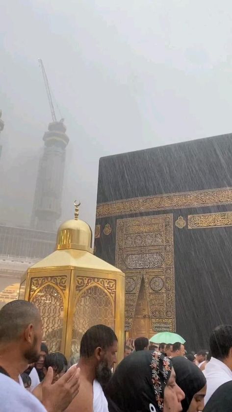 Madina Sharif Beautiful Pic, Hajj Video, Al Qur'an Photography, Qur'an Photography, Amazing Animal Pictures, Muslim Couple Photography, Beautiful Quran Verses, Muslim Pictures, Allah Photo