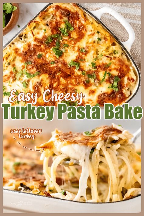 Turkey Linguine, Creamy Turkey Pasta, Turkey Pasta Recipes, Turkey Pasta Bake, Turkey Pasta Salad, Elbow Pasta Recipes, Turkey Noodle Casserole, Freezer Lunches, Leftover Ideas