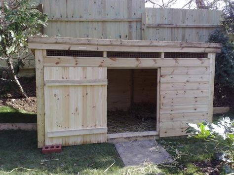 Geese House Ideas, Goose Coop, Sebastopol Geese, Goose House, Backyard Ducks, Duck Coop, Raising Ducks, Chicken Poop, House Kits