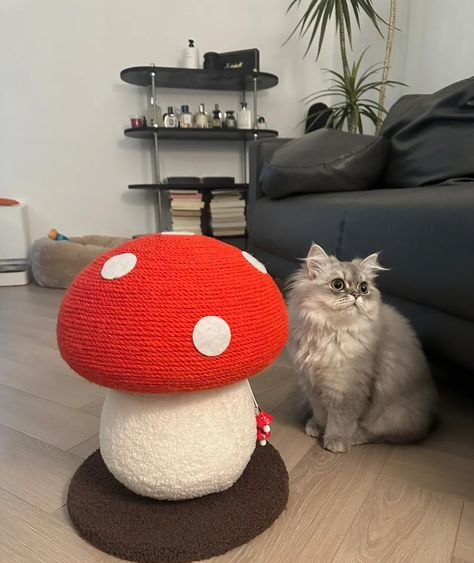 This cat's new favorite spot - right next to this adorable red mushroom scratching post! 🍄😻 #zezelife #catbed #cattree #cattoy #cat #cats #catlife #catstagram #catlovers #catsofinstagram #catsagram #cutecat Cat Play Area, Red Mushroom, Senior Cat, Sisal Rope, Teddy Fleece, Cat Scratching Post, Curious Cat, Cat Scratcher, Red Cap