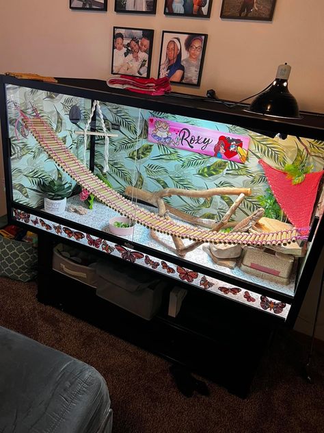 Diy Breaded Dragon Enclosure, Cool Bearded Dragon Tanks, 4x2x2 Bearded Dragon Enclosure Diy, Aesthetic Bearded Dragon Cage, Lizard Tank Ideas, Cute Bearded Dragon Tank, Diy Reptile Enclosure, Bearded Dragon Enclosure Ideas, Bearded Dragon Setup