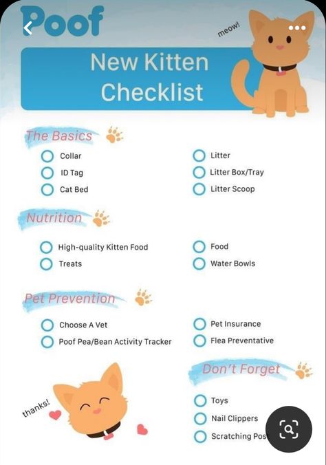 Kitten Checklist, New Kitten, Kitten Food, Pet Insurance, Cat Health, Activity Tracker, Litter Box, Id Tag, Cat Bed