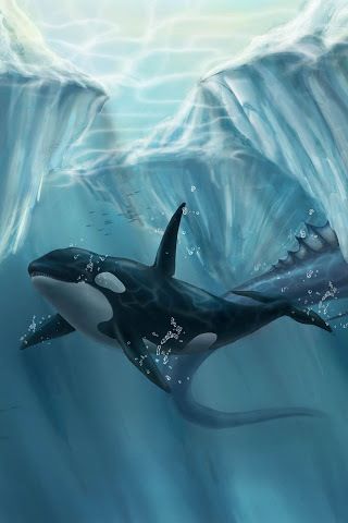 Whimsical orca art Orca Art, The Ocean, Water, Art