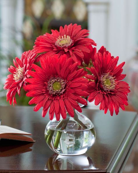 Artificial Plants And Trees, Sunflower Bouquets, Silk Flower Arrangements, Gerbera Daisy, Ornamental Plants, Silk Flower, Artificial Plants, Flower Arrangement, My Flower