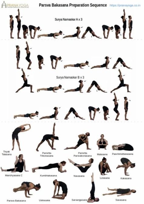 Yoga Asanas Names, Crane Pose, Restorative Yoga Sequence, Prana Yoga, Ashtanga Vinyasa Yoga, Surya Namaskar, Yoga Short, Yoga Sequence, Yoga Workouts