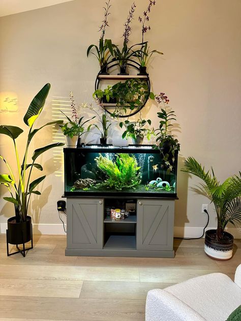 Fish Tank In Dining Room, Plants Above Fish Tank, Plant And Aquarium Room, Fish Tank Shelf Ideas, Home Aquarium Aesthetic, Aquatic Turtle Tank Ideas, Aquarium Shelf, Mens Living Room, Guppy Tank