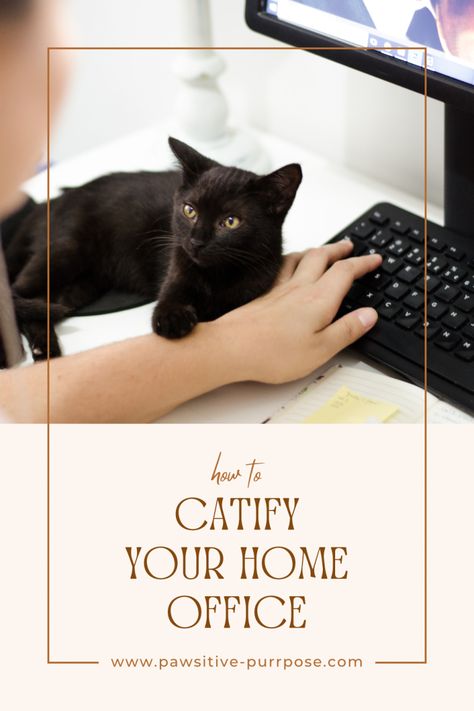 How to Catify Your Home Office – Pawsitive Purrpose Home Office And Cat Room, Cat Friendly Office, Cat Friendly Home Office, Catify Your Home, Cat Jungle Gym, Cat Office, Office Cat, Laptop Charger, Cat Room