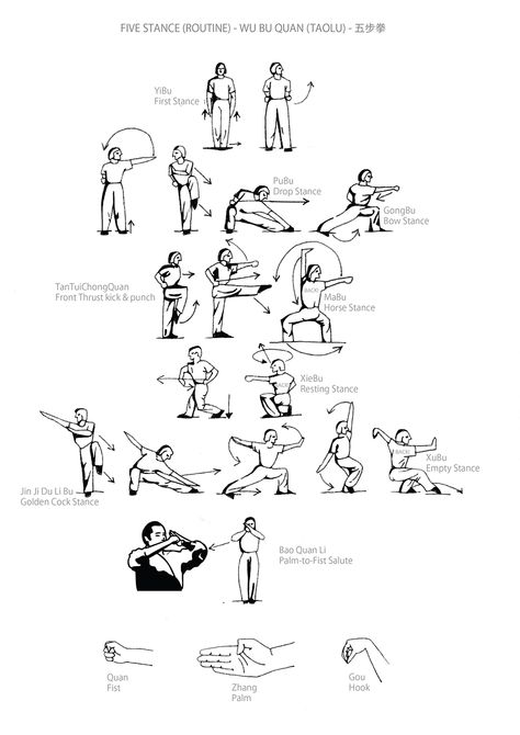 Wu Bu Quan (五步拳) Kung Fu Moves, Martial Arts Forms, Tai Chi For Beginners, Karate Dojo, Martial Arts Sparring, Chi Gong, Wing Chun Kung Fu, Kung Fu Martial Arts, Shaolin Kung Fu