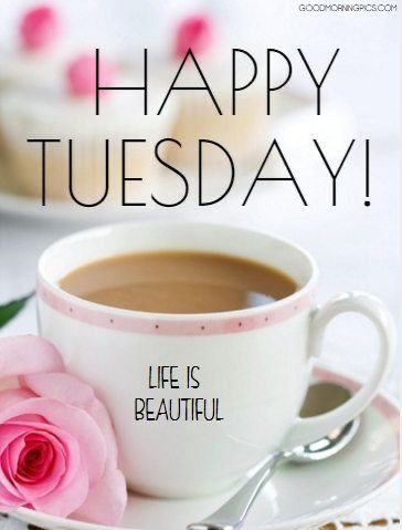 Hello! Good Morning! Happy Tuesday! - How will you make today terrific? 😁 - What’s one thing off your To-Do, that you must do? 👩🏽‍💻 - Who’s day will you brighten? 🥰 See my responses below.👇🏽 #hello #goodmorning #happytuesday #hireavirtualassistant #entrepreneur #girlboss #smallbusinessowner #womeninbusiness #femaleentrepreneur #workfromhome #vaforhire #virtualconcierge #virtualassistant #success #savvybusinessowner #virtualassistance #valife #assistanceisourbusiness⁠ Good Morning Boyfriend Quotes, Tuesday Quotes Good Morning, Tuesday Greetings, Food Creatives, Tuesday Images, Thursday Greetings, Be Good To Yourself, Morning Tuesday, Hello Tuesday