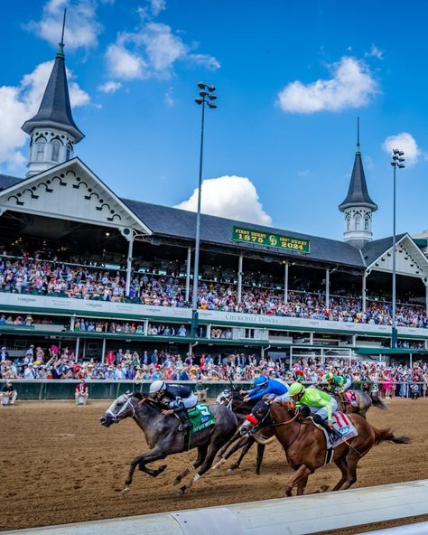 Kentucky Derby Aesthetic, Derby Aesthetic, Preakness Stakes, Sport Of Kings, Preakness, House Of Cards, The Grey, Kentucky Derby, Horse Racing