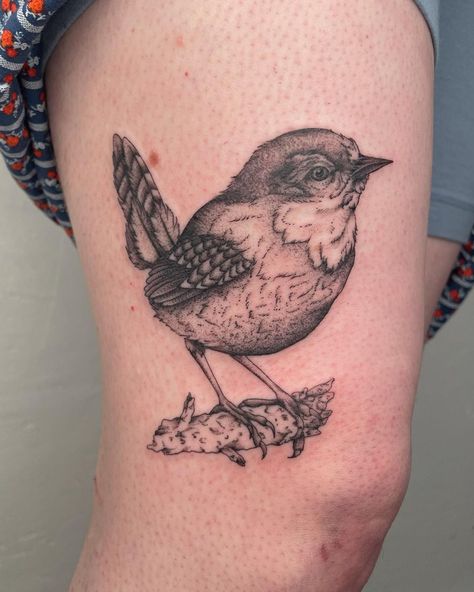 Carolina Wren Tattoo, Wren Bird Tattoo, Wren Tattoo, Wren Bird, Carolina Wren, Bird Tattoo, Boy Tattoos, Birds Tattoo, Thanks So Much