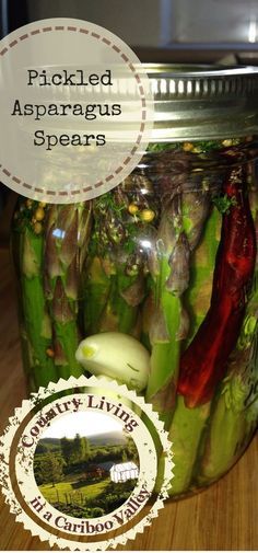 Pickled Asparagus Recipe, Pickled Recipes, Pickled Asparagus, Canning Pickles, Pickling Spice, Best Probiotic, Pickled Veggies, Fresh Asparagus, Pickled Onions