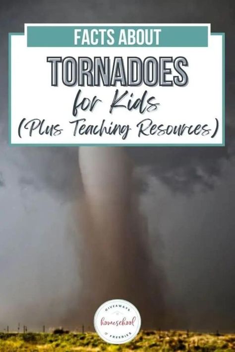 tornadoes for kids Tornado Science, Weather For Kids, Science Printables, Life Cycles Activities, Coloring Worksheet, Extreme Weather Events, Unit Studies, Facts For Kids, Science Worksheets