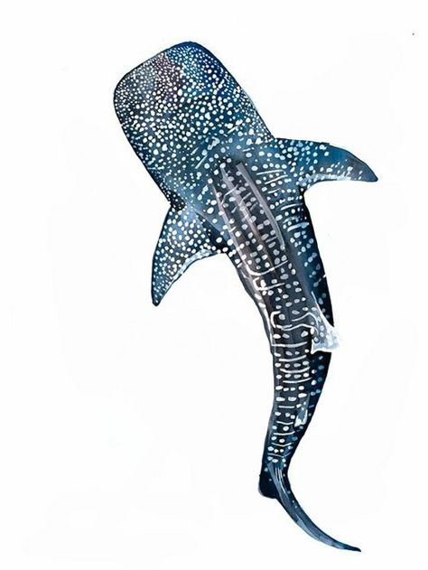 Whale Shark Tattoo, Hai Tattoo, Shark Whale, Shark Painting, Whale Drawing, Beach Wall Collage, Shark Drawing, Shark Tattoo, Ocean Tattoos