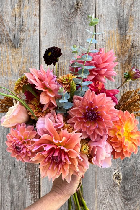 Fall dahlia bouquet for a NC barn wedding Wedding Bouquets With Dahlias, Gold Bridal Bouquet, Coral Dahlia, Dahlia Bridal Bouquet, Rustic Bridal Bouquet, Dahlia Wedding Bouquets, Dahlias Wedding, Country Wedding Flowers, Triangle Area