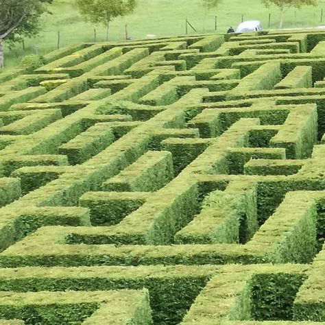 Laberinto de Villapresente on Instagram: "🌲 ¡Ven a perderte!! 🌿🐦🍃🌲🌲🌴🌳🌱🌱🍃🌻🍁 #turismo #cantabria #laberinto #laberintodecantabria" Labyrinth, Hedges, My Images, Lab, On Instagram, Quick Saves, Instagram