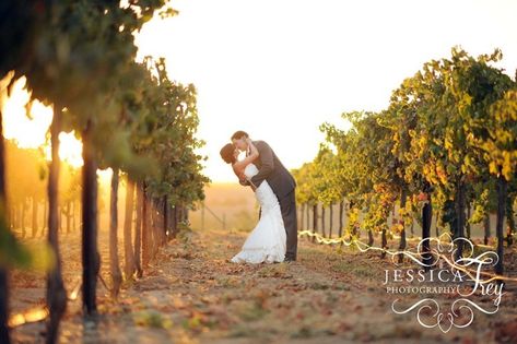 Red Grey Wedding, Winery Wedding Photos, Vineyard Wedding Venue, The Vineyard, Silver Horse, Austin Wedding Photographer, Winery Wedding, Wedding Engagement Photos, Shooting Photo