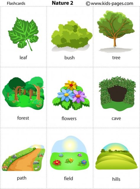 Vocabulario naturaleza 4 Georgian Language, English Activities For Kids, Esl Vocabulary, Learning English For Kids, Flashcards For Kids, English Vocab, Printable Flash Cards, English Activities, Grammar Lessons