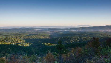 Mountain Biking Quotes, Mountain Biking Photography, Choctaw Nation, Forest Road, Mountain Bike Trails, Bike Trails, Park City, Nice View, Beautiful Gardens