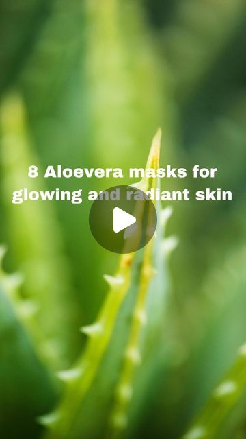 Lalita Jadaun on Instagram: "8 aloevera facemasks for beautiful skin✨️
Save & Follow ✅️ ✨️ 

1️⃣ Hydrating Mask:
- Aloe Vera Gel
- Honey

2️⃣ Acne-Fighting Mask: 
- Aloe Vera Gel
- Nutmeg Powder
- Lemon Juice

3️⃣ Dark Spot Correcting Mask: 
- Aloe Vera Gel
- Turmeric

4️⃣ Soothing Mask: 
- Aloe Vera Gel
- Yogurt

5️⃣ Oily Skin Control Mask:
- Aloe Vera Gel
- Lemon Juice
- Olive Oil

6️⃣ Brightening Mask:
- Aloe Vera Gel
- Cucumber Juice

7️⃣ Anti-Aging Mask:
- Aloe Vera Gel
- Avocado

8️⃣ Exfoliating Mask:
- Aloe Vera Gel
- Oatmeal
Keep these on for 10-15mins, then wash.
.
[How to get naturally prettier, skincare tips,
 Future  manifestation, love, 2024
manifestation, luxury lifestyle, that girl
lifestyle, business women, boss lady,
motivation, success quotes, success reels]
#thatgirl #th Manifestation Luxury, Future Manifestation, Boss Lady Motivation, Nutmeg Powder, Sleeping Face Mask, Aloe Vera Mask, Manifestation Love, 2024 Manifestation, Control Oily Skin