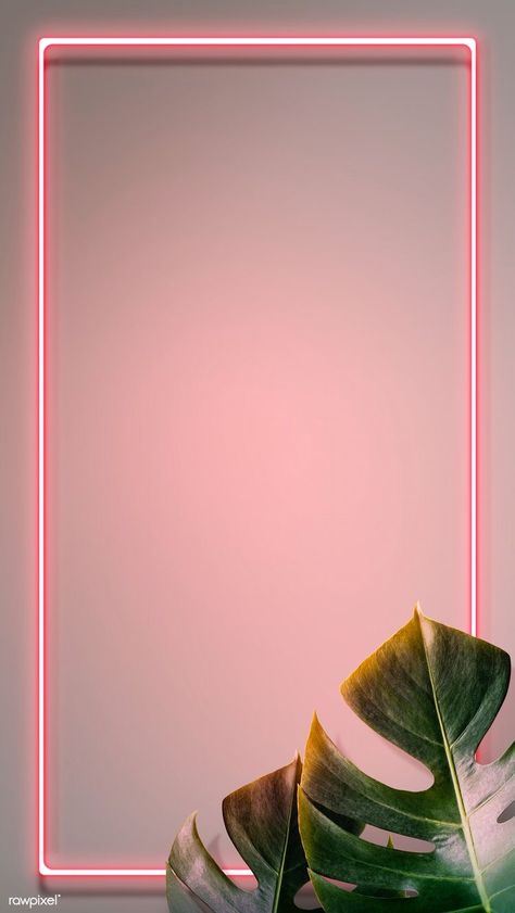 Pink Neon Wallpaper, Neon Frame, Pink Neon Lights, Pink Neon Sign, Story Background, Fig Plant, Gold Wallpaper Background, Neon Rose, Text Story