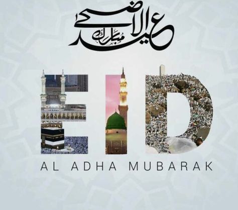 Eid Mubarak Shayari, Bakrid Mubarak, Eid Ul Azha Mubarak, Eid Mubarak Gif, Eid Ul Azha, Eid Mubarak Images, Mubarak Images, Adha Mubarak, Beautiful Flowers Images