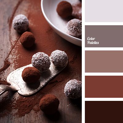 Color Palette #3456 | Color Palette Ideas In Color Balance, Chocolate Palette, Coffee Collection, Pantone Palette, Color Palette Ideas, House Color Palettes, Brown Color Palette, Palette Ideas, Chocolate Brown Colour