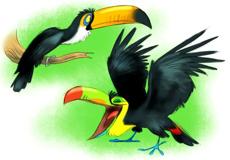 Toucan Art, Wildlife Artwork, Cartoon Birds, Art Cartoon, Creature Concept Art, Bird Design, Creature Design, Creature Art, Animal Illustration