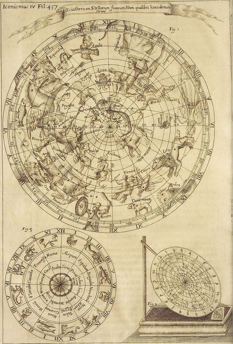 Ancient Astronomy, Celestial Map, Diy Buch, Astronomy Art, Scientific Illustration, Old Maps, Old Map, Old Book, Book Of Shadows