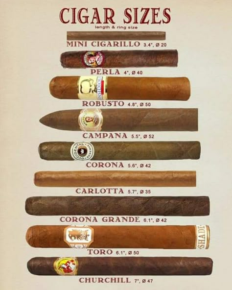 Types Of Cigars, Live With Passion, Hey Bartender, Liquor Bar, Gentleman Aesthetic, Info Board, Art Of Manliness, Cuban Cigars, Good Cigars