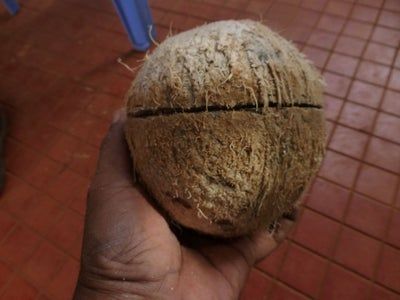 How To Open A Coconut, How To Cut Coconut, Open A Coconut, Coconut Bra, Easy Couple Halloween Costumes, Coconut Shells, Emoji Photo, Unique Decoration, Coconut Recipes