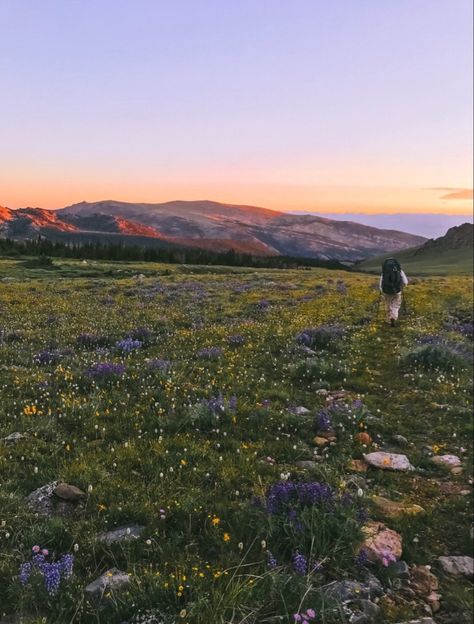 Green Life, Beautiful Sky, Green Day, State Of Mind, Pretty Places, Go Outside, The Great Outdoors, Life Is Good, Natural Landmarks