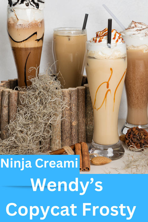 You'll be amazed at how easy it is to whip up this copycat Wendy's Frosty using the Ninja Creami machine! With just a few simple ingredients, including chocolate milk, you can create a decadent frozen treat that's perfect for beginners using the Ninja Creami! Wendys Frosty Recipe Ninja Slushi, Chocolate Milkshake Recipe No Ice Cream, Wendys Copycat, Frosty Copycat Recipe, Protein Milkshake Recipe, Ice Cream Milkshake Recipe, Homemade Milkshake Recipe, Healthy Milkshake Recipes, Vanilla Milkshake Recipe