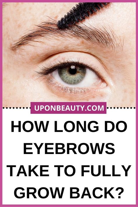 If you’ve over-pluck your eyebrows by mistake, then you’re surely asking yourself: how long does it take until they fully grow back? Well, I have the answer and even though the growth cycle of your hair is the same, it will usually take longer for the eyebrow area! So, read this post for more details on how to grow back your eyebrows and how to fix them in the meantime! #BeautyTips #Tips #Tricks #Eyebrows #Growth Growing Out Eyebrows, Grow Eyebrows Faster, Grow Eyebrows Thicker, Bad Eyebrows, Eyebrow Hacks, Makeup Tips For Older Women, Makeup For Older Women, How To Grow Your Hair Faster, How To Grow Eyebrows