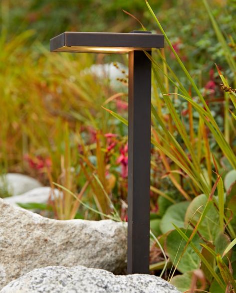 Landscape Path Lighting, Garden Path Lighting Ideas, Modern Pathway Lighting, Path Lights Walkways, Front Walkway Lighting, Walkway Lighting Ideas Pathways, Modern Solar Lights Outdoor, Outdoor Path Lights, Pathway Lighting Ideas Walkways