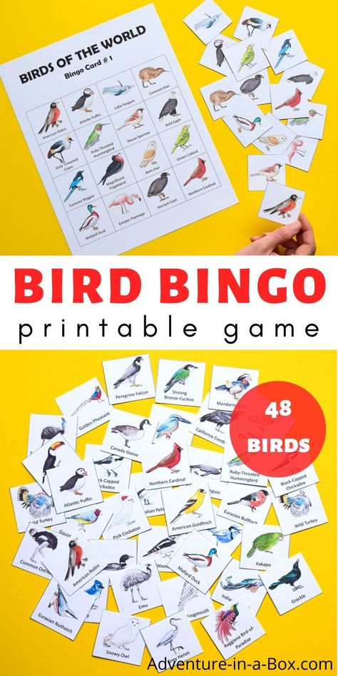 Bird Science Activities For Kids, Bird Stem Activities, Bird Activities Preschool, Bird Activities For Kids, Bird Bingo, Kids Gratitude Journal, Birds For Kids, Gratitude Journal For Kids, Engineering Activities