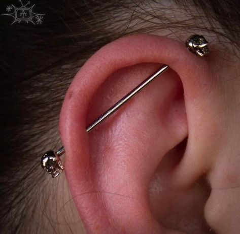 Double Cartilage, Industrial Bar Piercing, Ear Piercings Industrial, Double Cartilage Piercing, Industrial Piercing Jewelry, Aqua Rose, Industrial Barbell, Industrial Piercing, Cool Piercings