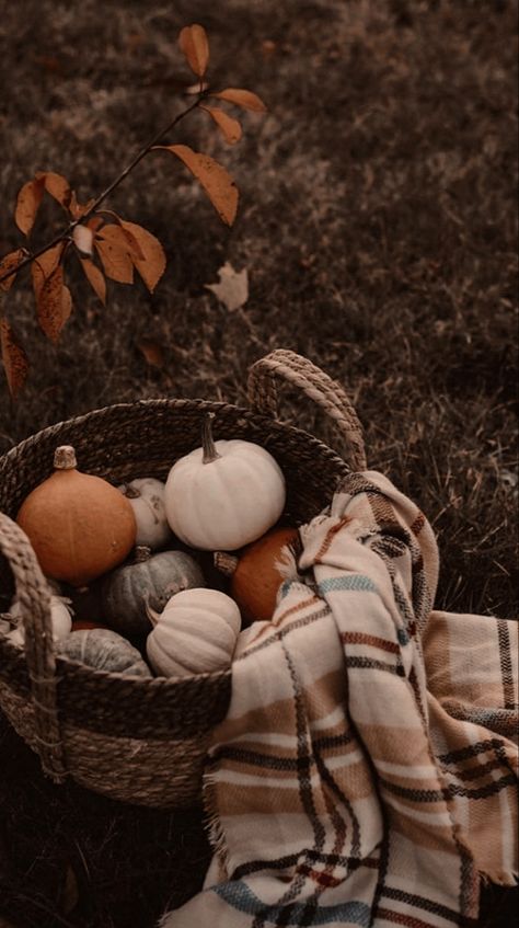 Autumn Phone Wallpaper, Fall Mood Board, Cute Fall Wallpaper, Iphone Wallpaper Fall, Fall Inspo, Fall Feels, Fall Pictures, Homescreen Wallpaper, Autumn Cozy