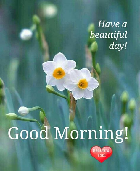 Good Morning! Good Morning For Love, Good Morning Love Images, Good Morning Baby, Weekend Wishes, Love Good Morning, Good Morning Dear Friend, Beautiful Good Morning, Cute Good Morning Images, Happy Morning Quotes