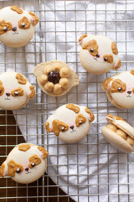 Puppy Macarons, Dog Macarons, Macaron Template, Kawaii Cookies, French Macaroons, Peanut Butter Cheesecake, Peanut Butter Filling, Macaron Recipe, Butterscotch Chips