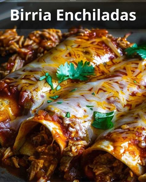 Birria Enchiladas Recipe, Birria Enchilada Casserole, Birria Enchiladas, Enchilada Ingredients, Homemade Enchilada Sauce, Homemade Enchiladas, Enchiladas Recipe, Enchilada Casserole, Enchilada Sauce