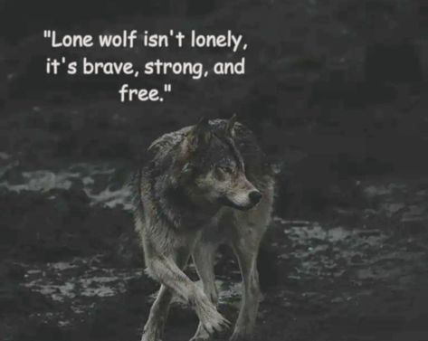 Wolf Quotes Alpha, Wolf Quotes Alpha Female, Wolf Traits, Lone Wolf Aesthetic, Wolves Quotes, Evil Queen Quotes, Lone Wolf Quotes, Brave Quotes, Unique Words Definitions