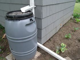 Gear Acres at Top of the Hill: DIY Downspout Diverter Install for the Rain Barrel Rain Diverter, Downspout Diverter, Barrels Diy, Rain Barrels, Pump House, Wood Shingles, Rain Storm, Raining Cats And Dogs, Rain Barrel