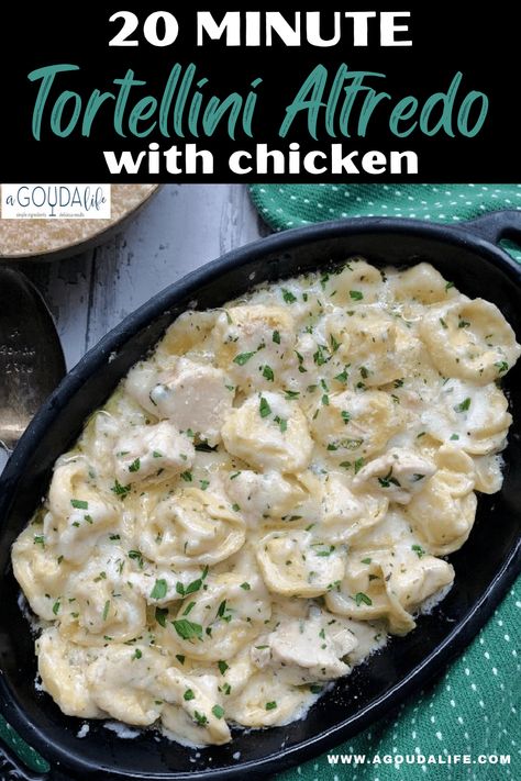 Chicken Tortellini Alfredo, Hamburger Helper Beef Stroganoff, Alfredo Sauce Easy, Tortellini Alfredo, Cooking Fresh Green Beans, Juicy Pork Tenderloin, Bread Dishes, Chicken Tortellini, Tortellini Recipes